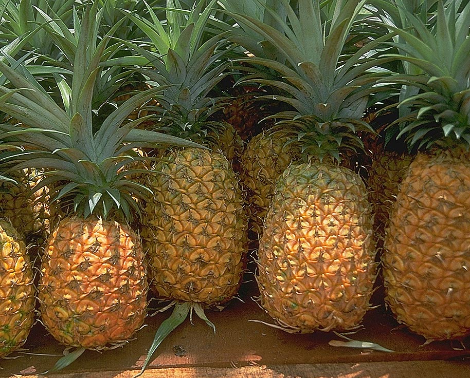 Ananas suyu ile güzelleşin. 